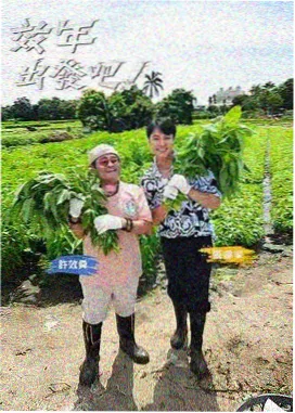 韩剧大全 韩国料理大师 综艺海报